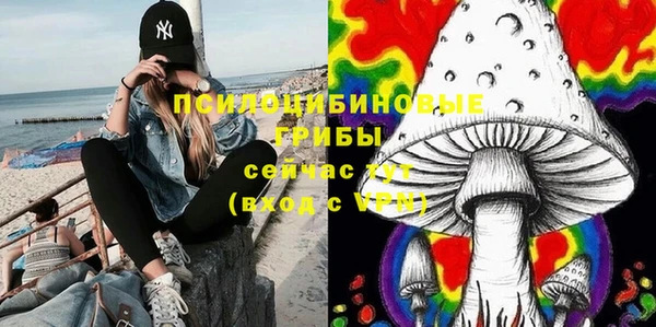 метадон Пересвет