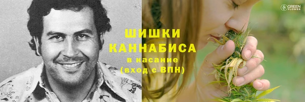 амф Переславль-Залесский