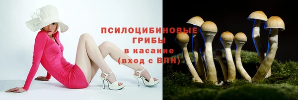 амф Переславль-Залесский