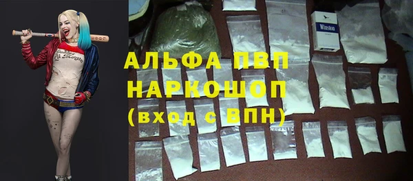 стаф Покровск