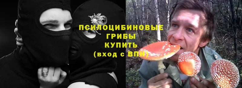 Псилоцибиновые грибы Cubensis  наркота  Удомля 