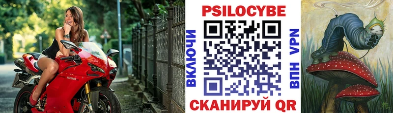 кракен вход Удомля Псилоцибиновые грибы мицелий