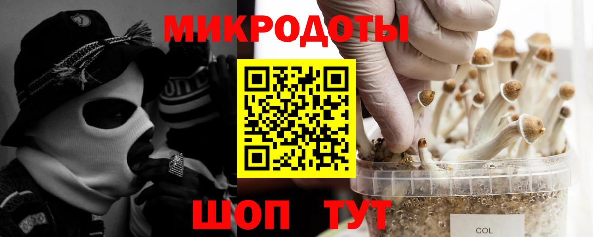 Галлюциногенные грибы Psilocybine cubensis  Псилоцибиновые грибы Cubensis  Удомля 