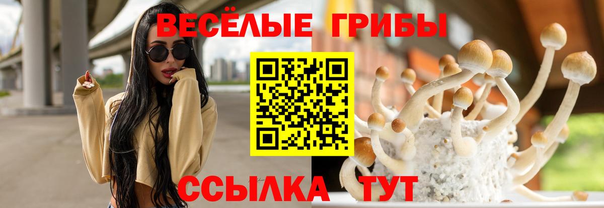 Удомля  Галлюциногенные грибы прущие грибы  купить закладку  Галлюциногенные грибы мухоморы  Вход с VPN 